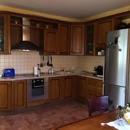 Under The Walnut Tree * Varna