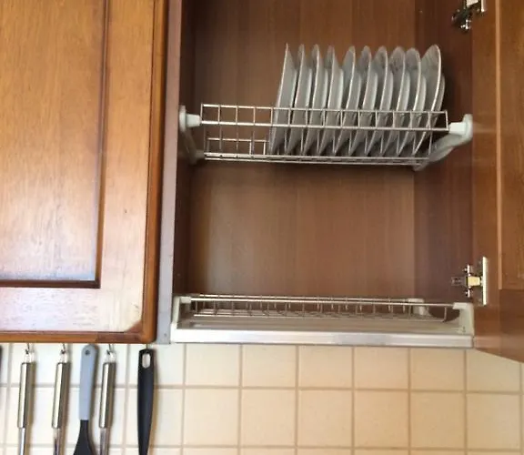 Under The Walnut Tree Varna