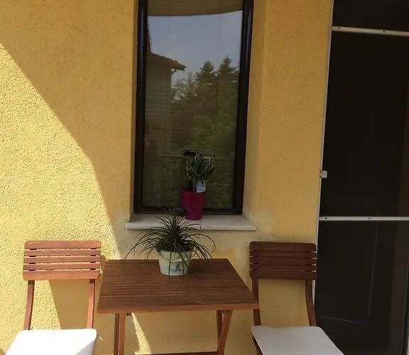 Under The Walnut Tree Varna