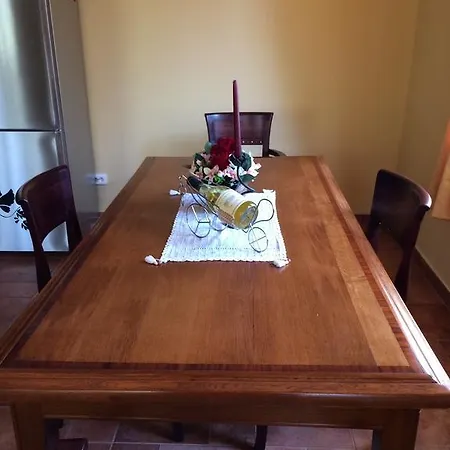 Under The Walnut Tree Варна