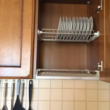 Under The Walnut Tree Варна