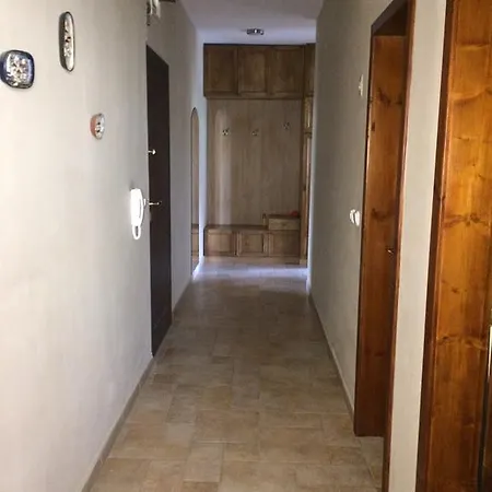 Under The Walnut Tree *