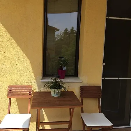 Under The Walnut Tree Варна