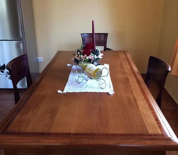 Under The Walnut Tree Varna