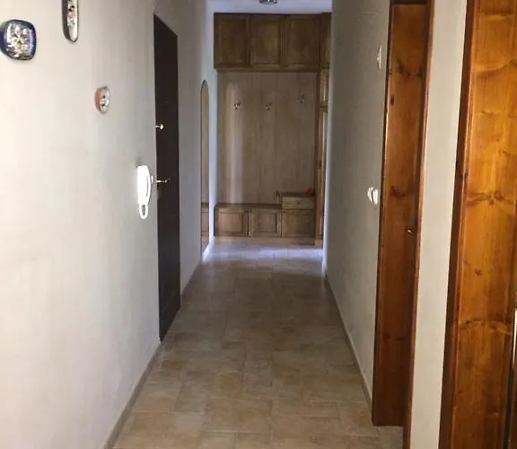 Under The Walnut Tree *