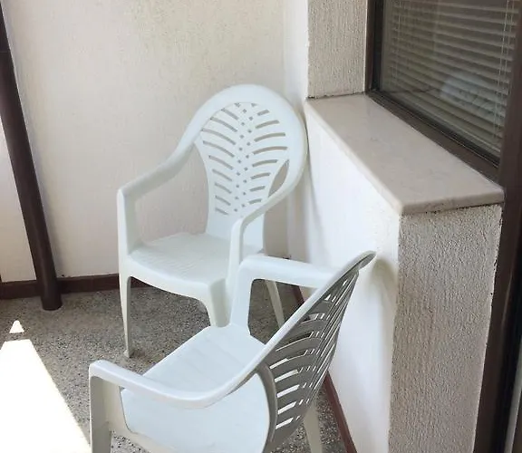 Under The Walnut Tree * Varna